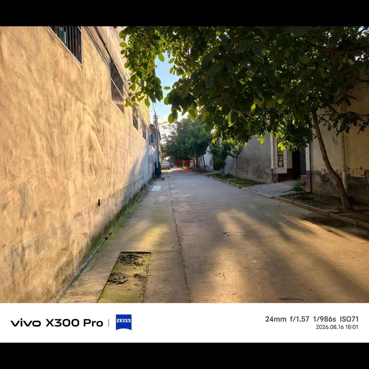 vivoX300P 影像现在属于什么级别。蔡司vivo