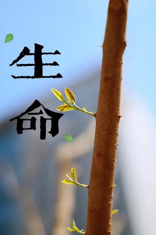 “多看一眼 ，真的能挽救一个人”，男子开车路过安徽临泉的泉河四桥时，发现一小伙坐