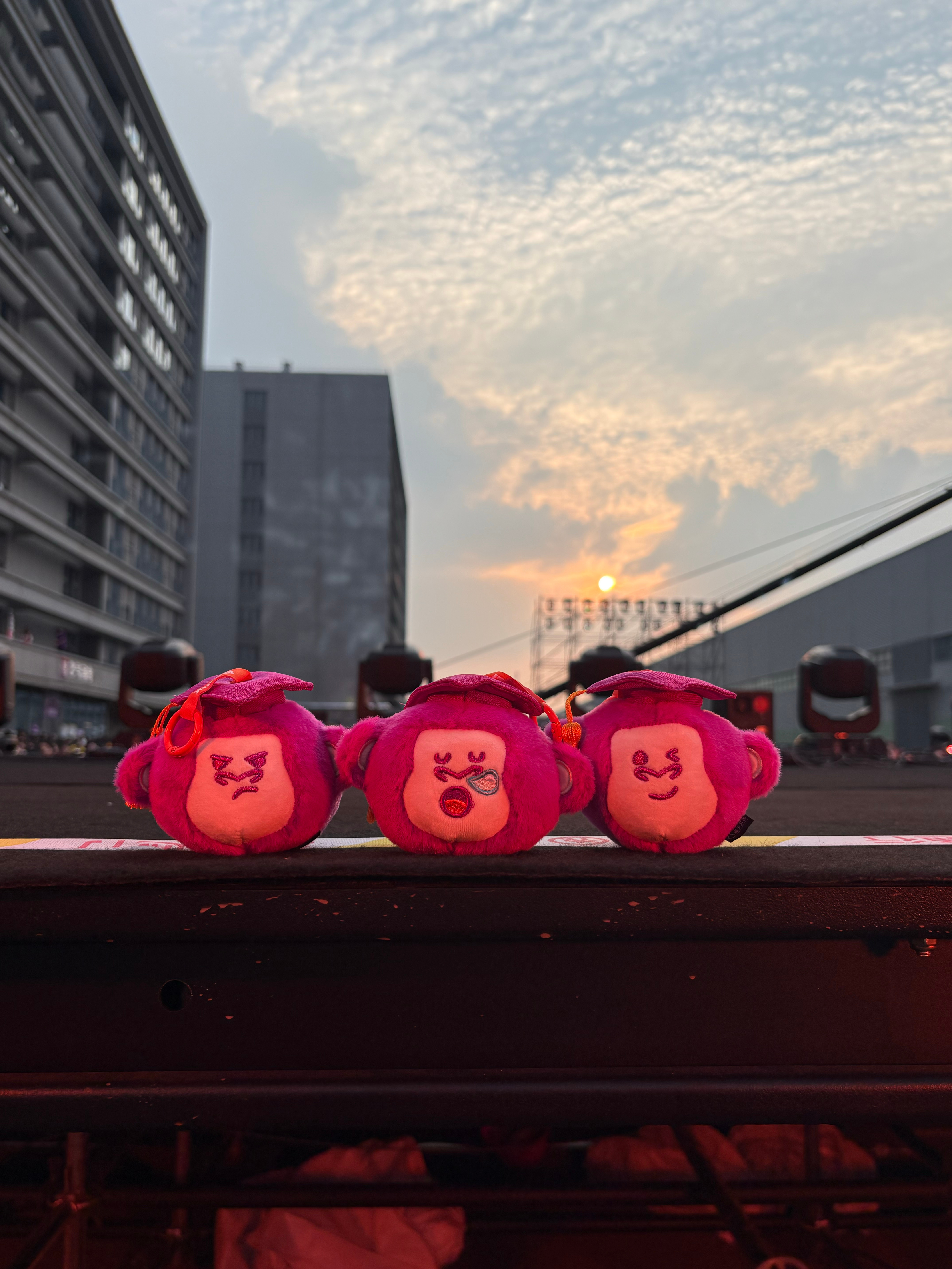 猩猩子与崽崽共看夕阳！！浪漫一把智博上岸音乐节智博智多猩
