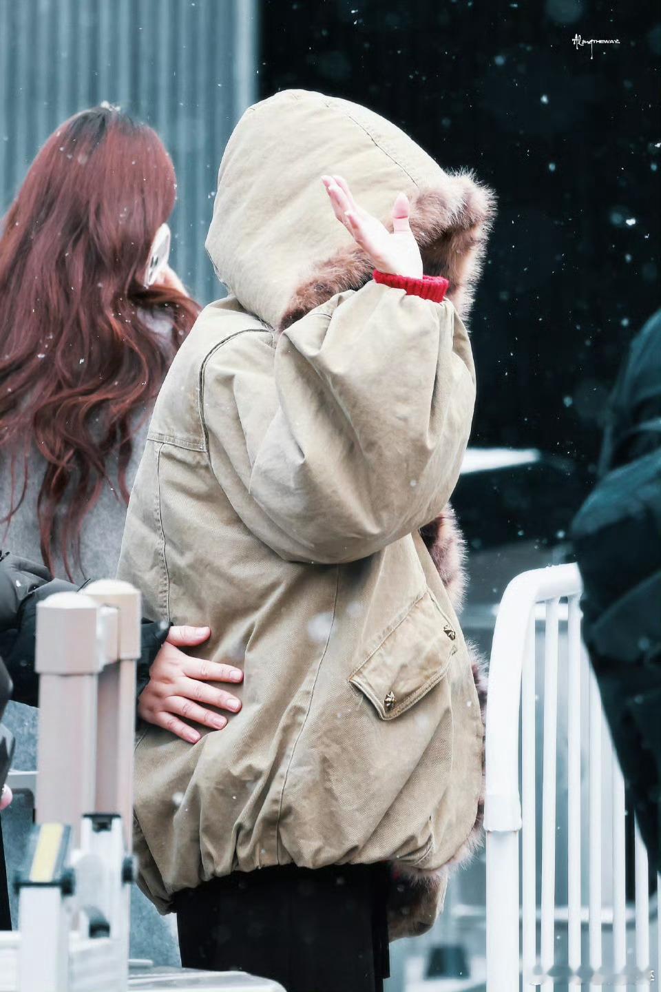 白鹿春晚联排白鹿一切顺利，期待《唐宫奇案》 