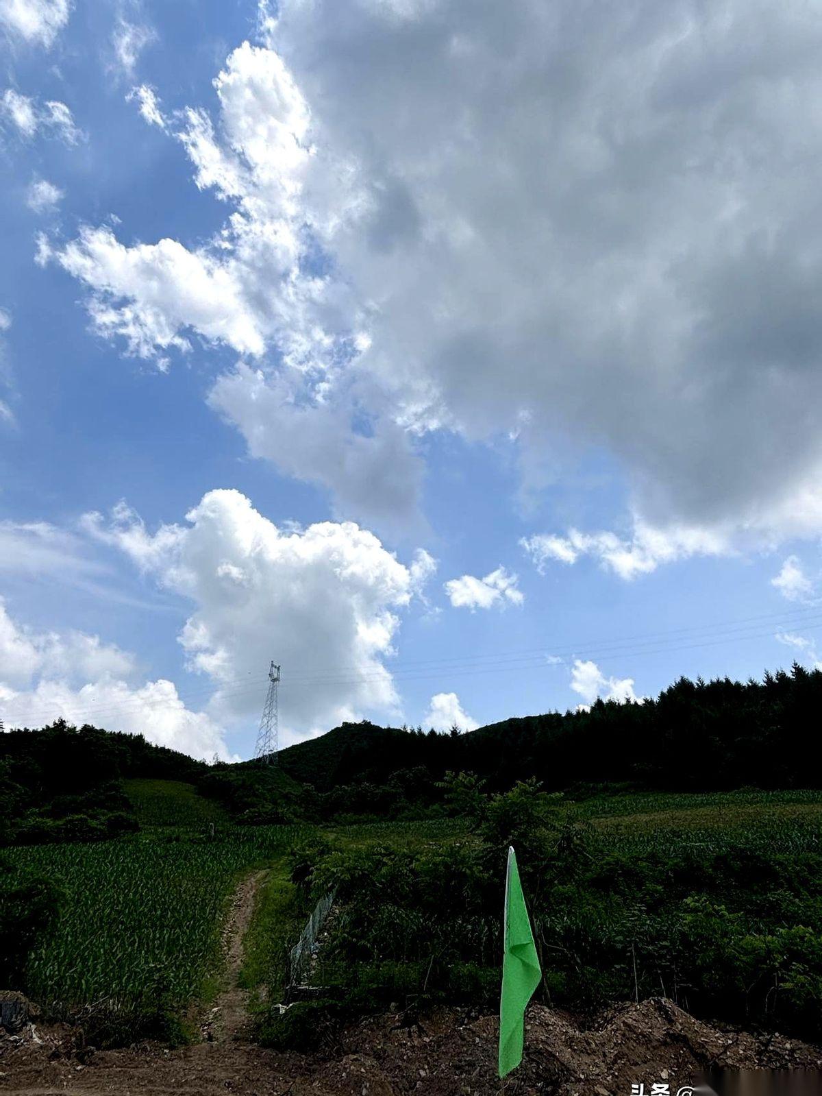 凤城农村的流水席上，一盘热气腾腾的鲍鱼重重放在了红布圆桌上。
这桌500块钱顶配