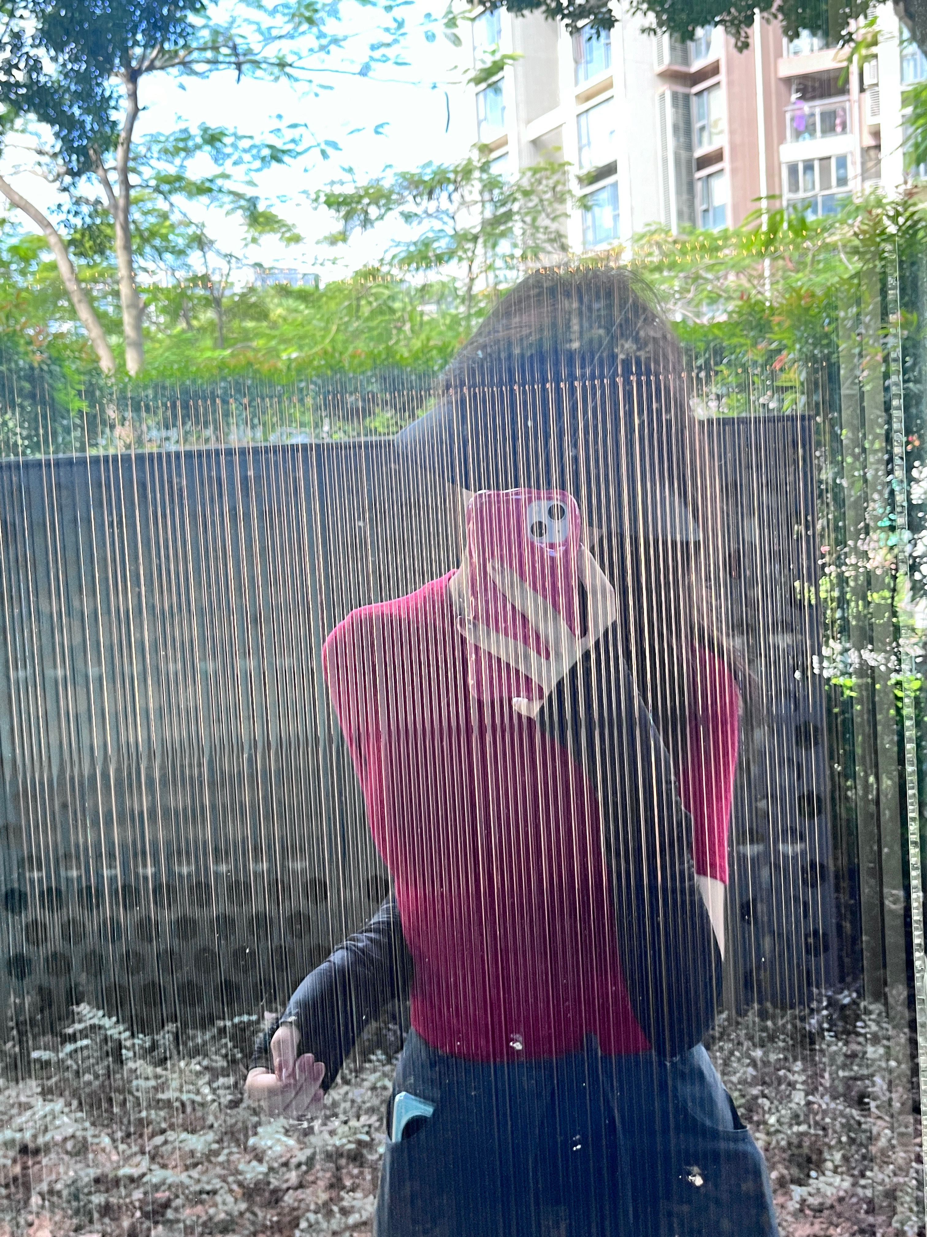 每天都是大晴天☀️阳光这么好 适合穿大红色[揣手]#深圳天气# ​​​