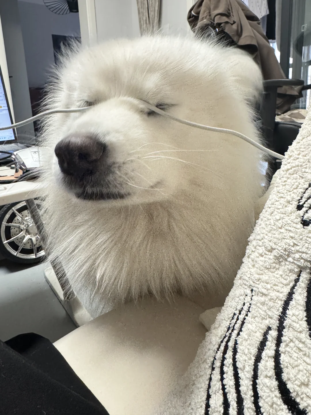 谁遮住了我的眼睛