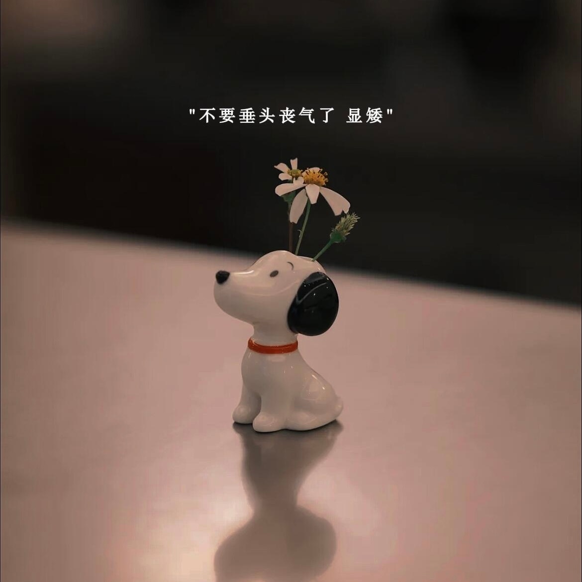 🌄˖°  𝕙𝕒𝕡𝕡𝕪 🍃 ⑉    时间可以浪费在喜欢的事情上。 