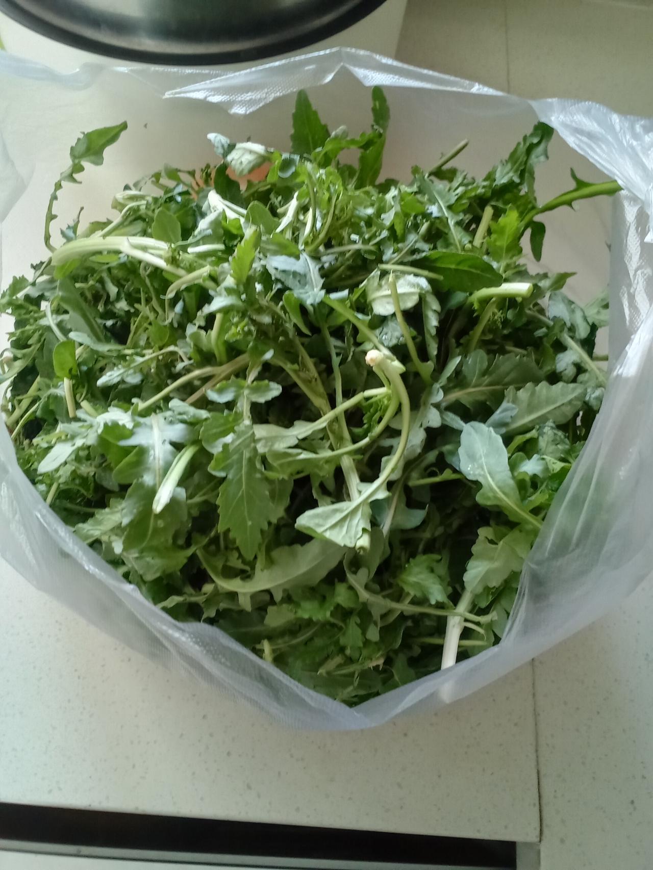 昨天在街边看见一农村大姐卖荠菜。这点荠菜收拾的干净利索，已经挑选清洗完，无根无枯