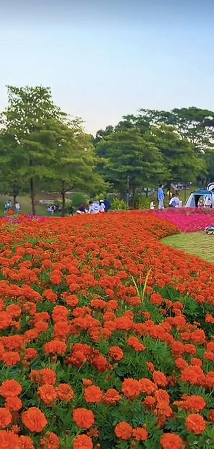 刚刚我和同事正在收拾房间，服务生小罗远远的就冲我喊，阿姨，告诉你一个好消息！
我