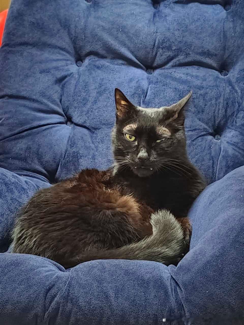 49419【心灵丑】（没有说外貌好看的意思）去医院复查嗷嗷骂医生 