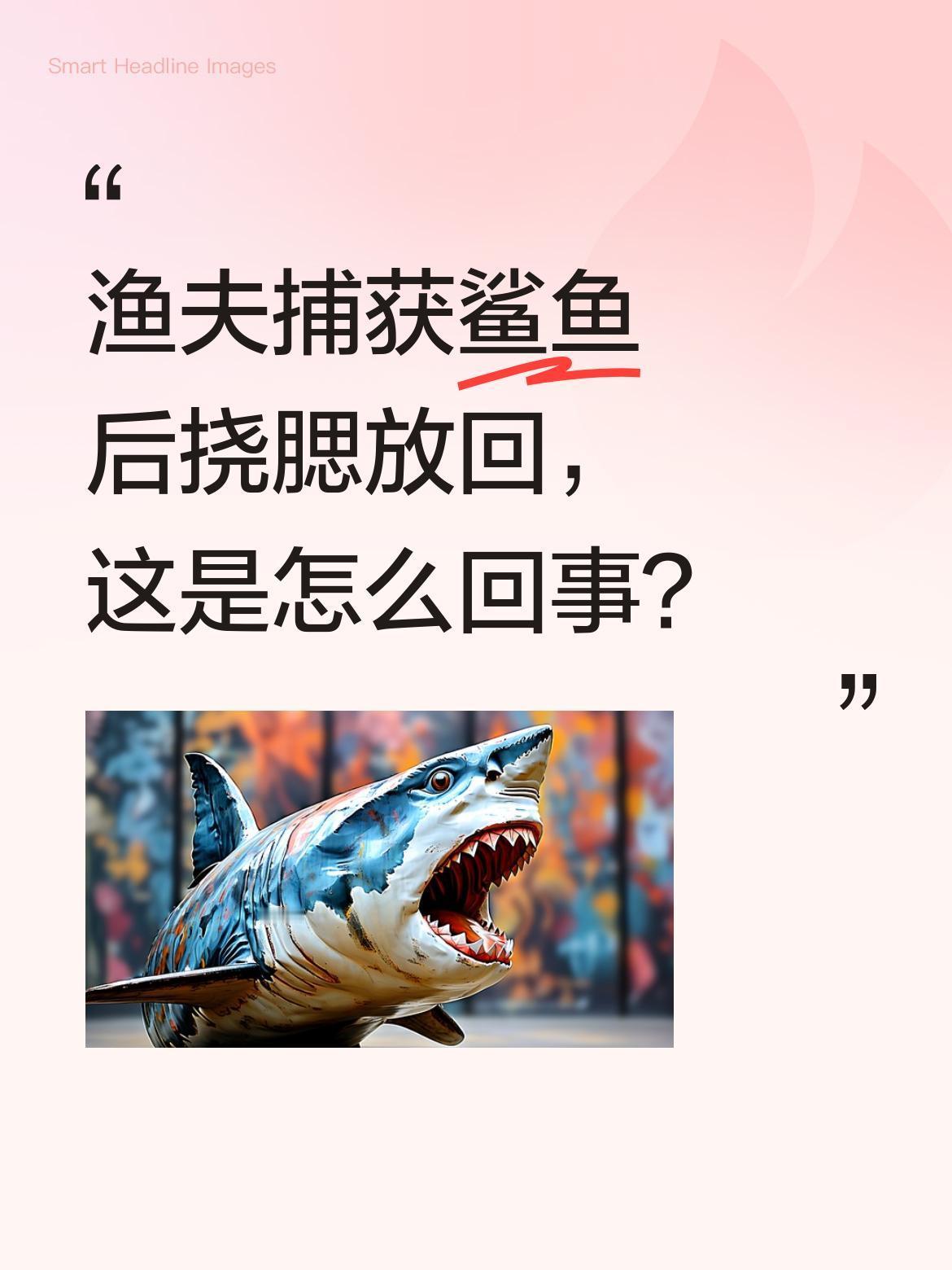 渔夫捕获鲨鱼后挠腮放回，这是怎么回事？
画面中，一位渔夫意外捕获一条鲨鱼，他轻轻
