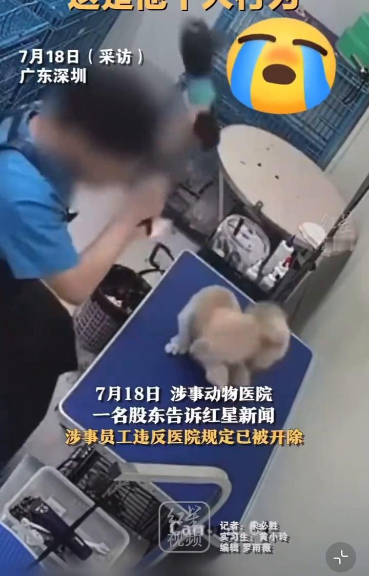 7月18日(采访)：广东深圳。
红星新闻。
7月17日有宠物主人在微信群中自述，