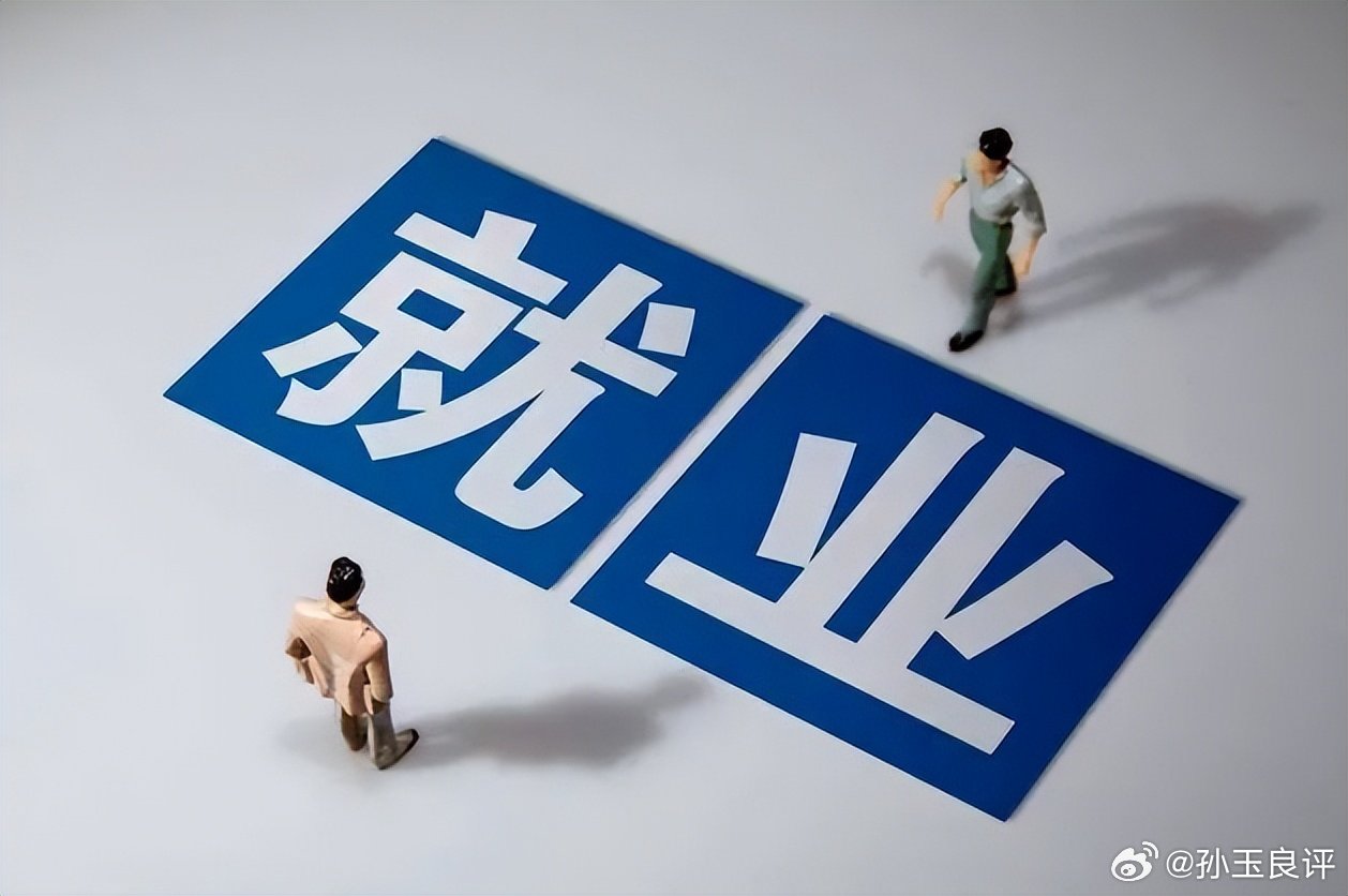 【“毕业即失业”等于大学的书白读了？孙玉良：大学不是职业介绍所】“花几十万培养一