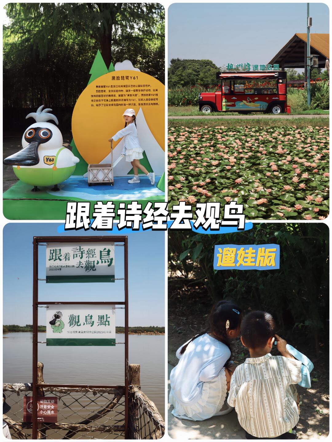 宁波遛娃新玩法 | 跟着《诗经》去观鸟🌿