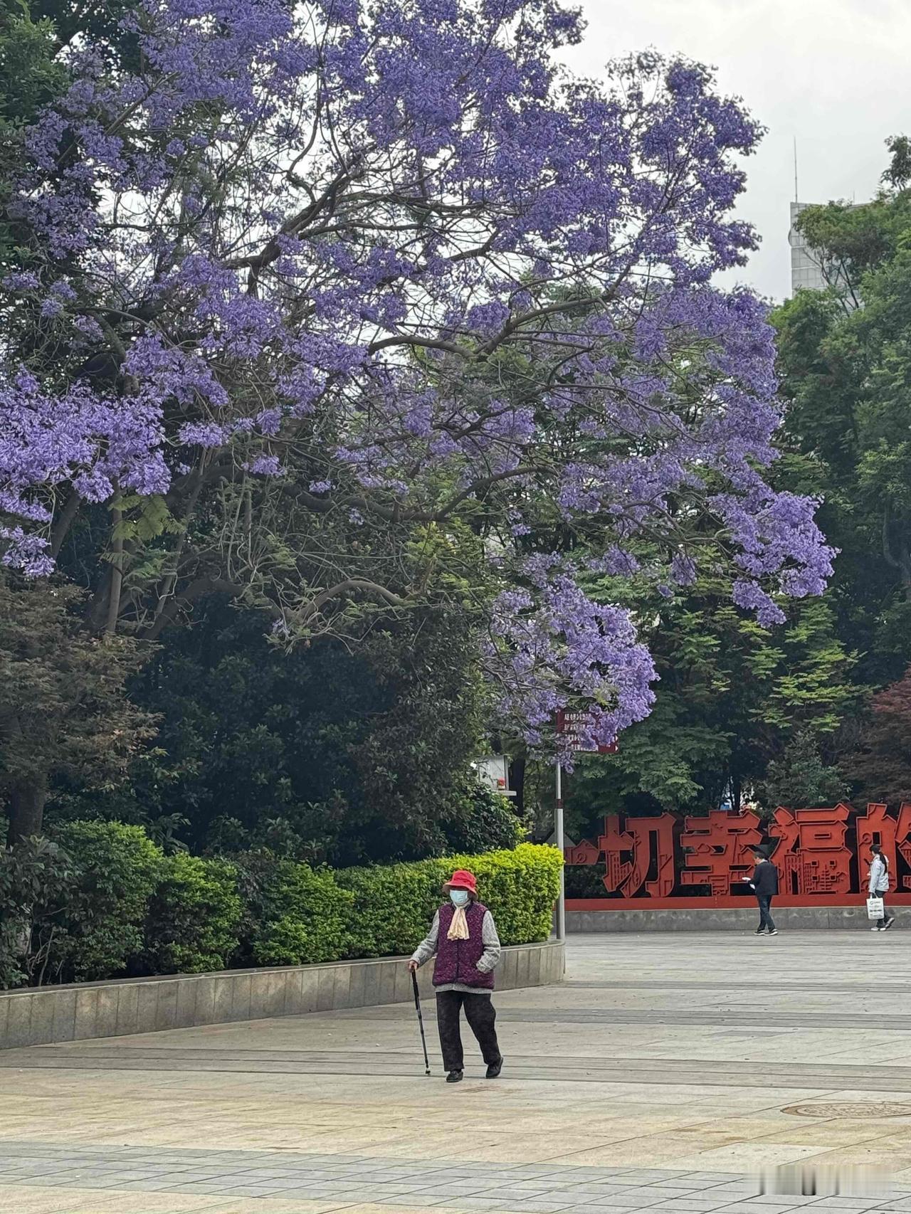 一辈子不结婚会幸福吗？

我们五零后这代人，认为单身的人十分可怜。

于是大家都