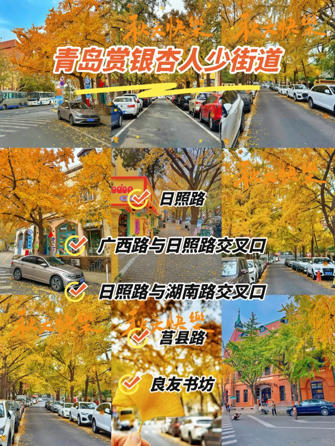 看银杏只去八大关你糊涂啊