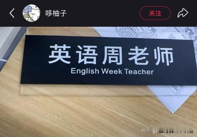 这是用哪个软件翻译的，说出来避雷一下