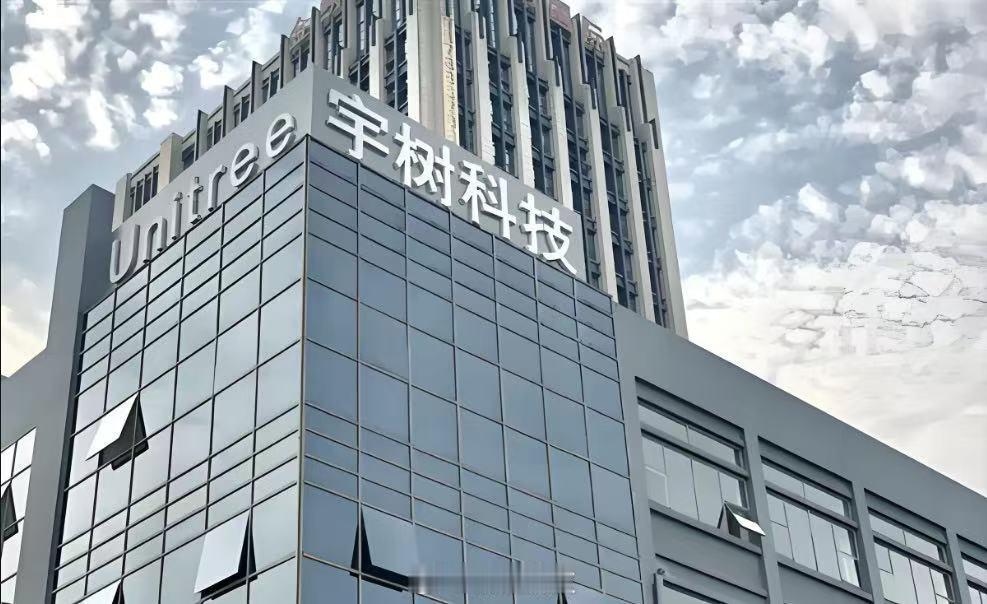 宇树科技中签结果出炉，打新单签盈利或超20万元
宇树科技发布科创板IPO网下初步