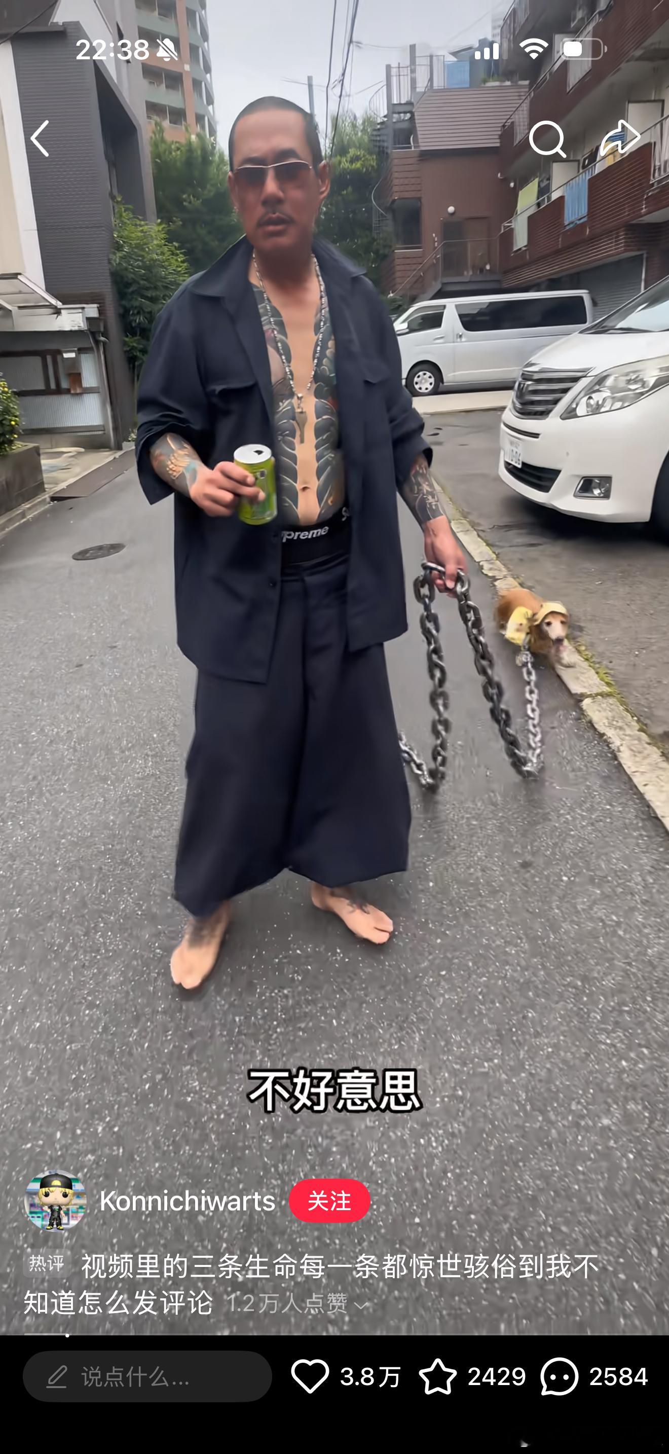 我谢，银魂里的黑驹胜男是写实派，定春暧昧对象也肥肥美美，， 