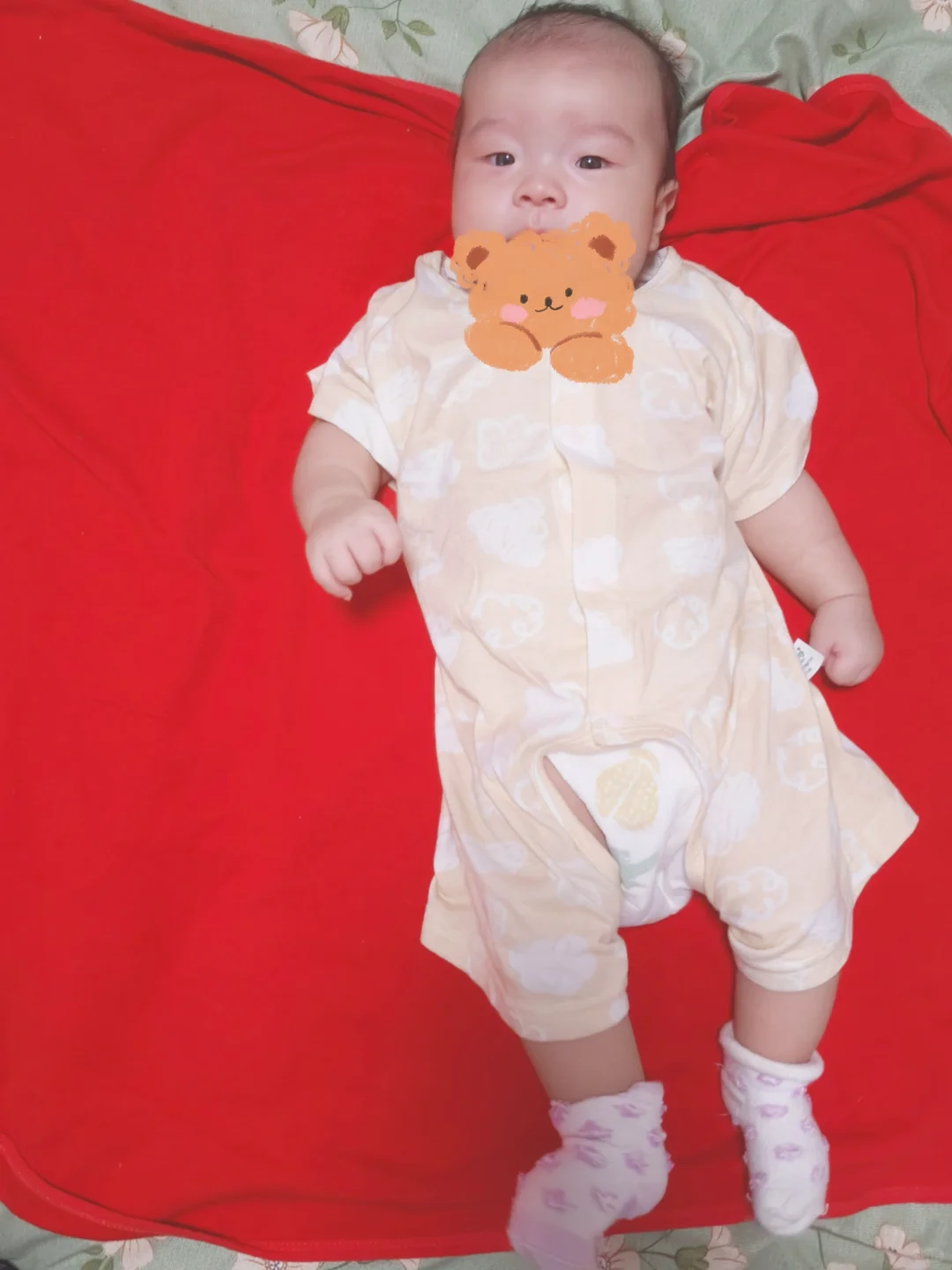 练抬头，他却趴着啃手