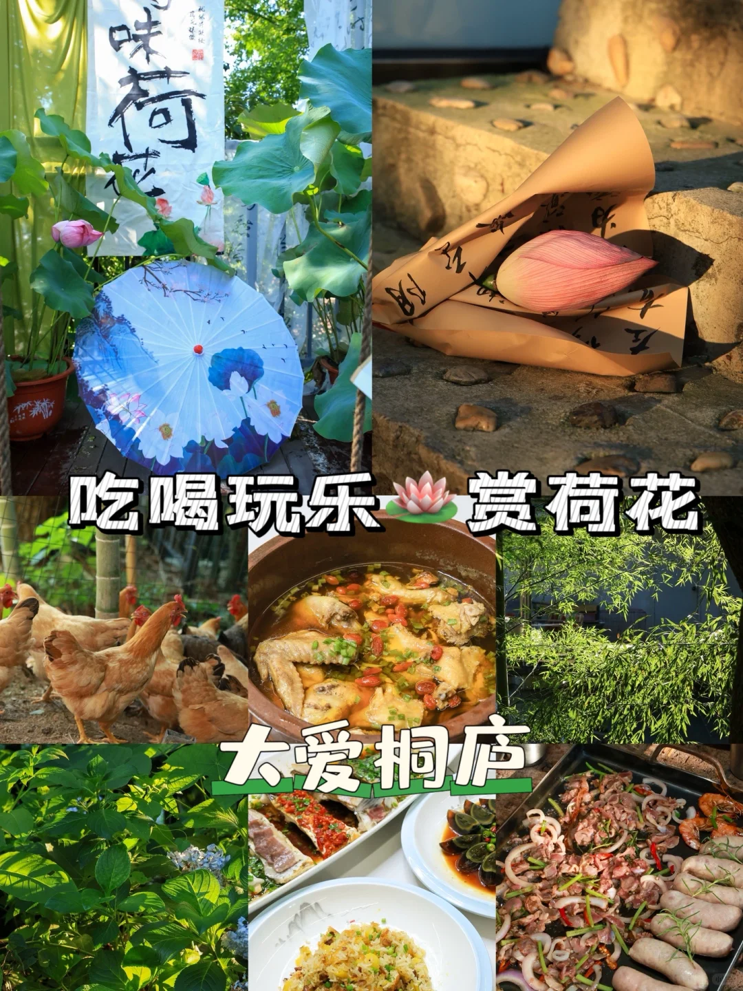 7月！桐庐之旅！看荷花、吃农家菜！