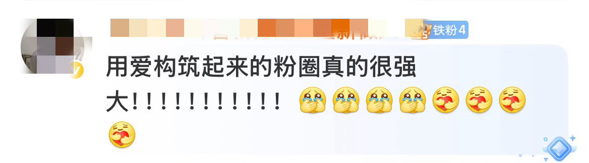 谁家用爱构筑的芬圈天天focus别人何况朱朴Part一点都不少每天都在这里带苏新