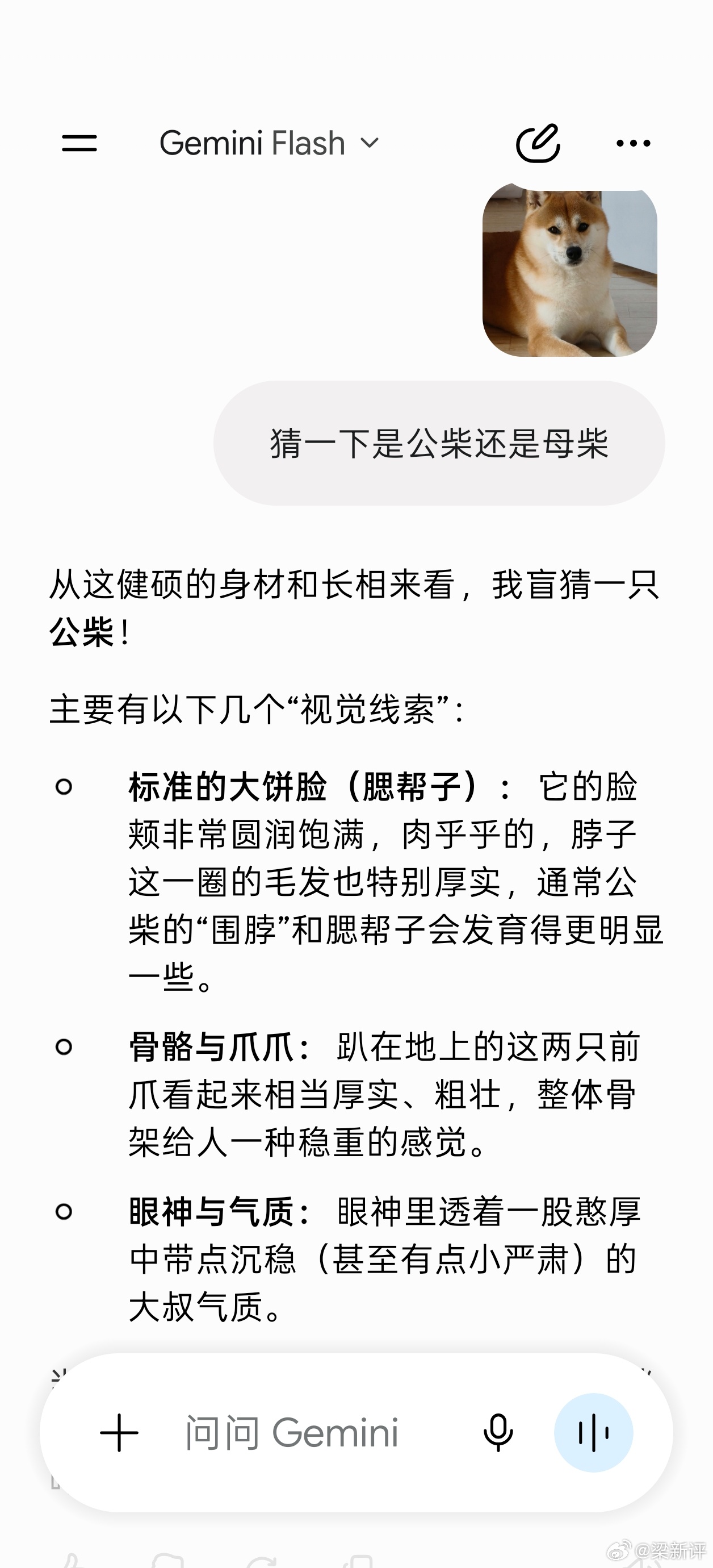 让 AI 判断一下我家小狗是公还是母，腾讯元宝，豆包都说是母，ChatGPT 和