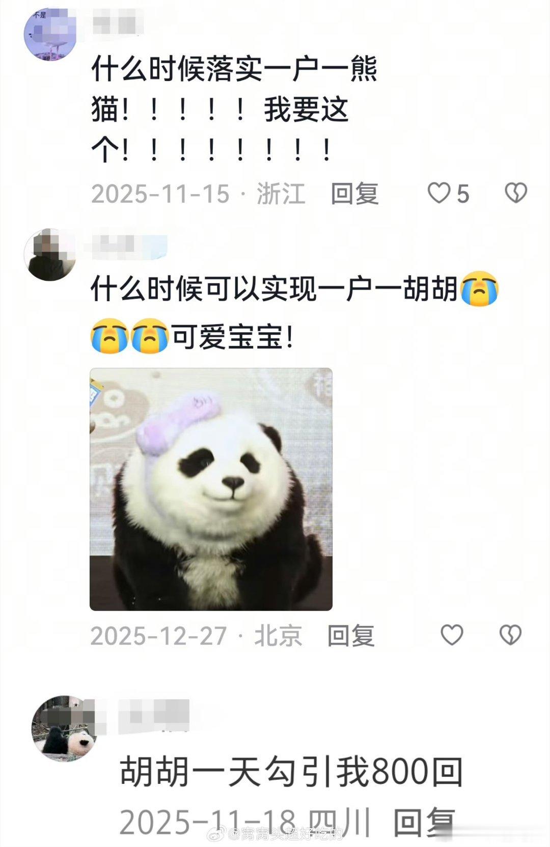 独家解锁高能量熊猫的一天原始部落的人也爱吸熊猫原来原始人也逃不过吸熊猫的快乐！喜