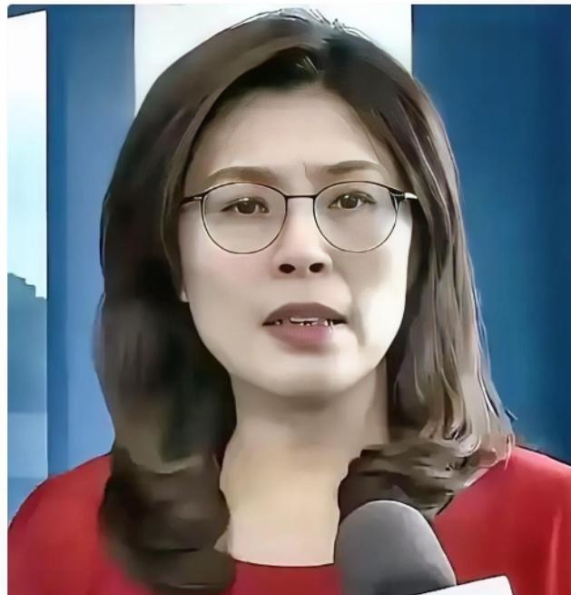 国民党主席郑丽文发布声明
目前的天然气库存只剩下一周的量，全岛有一半的电力要靠天