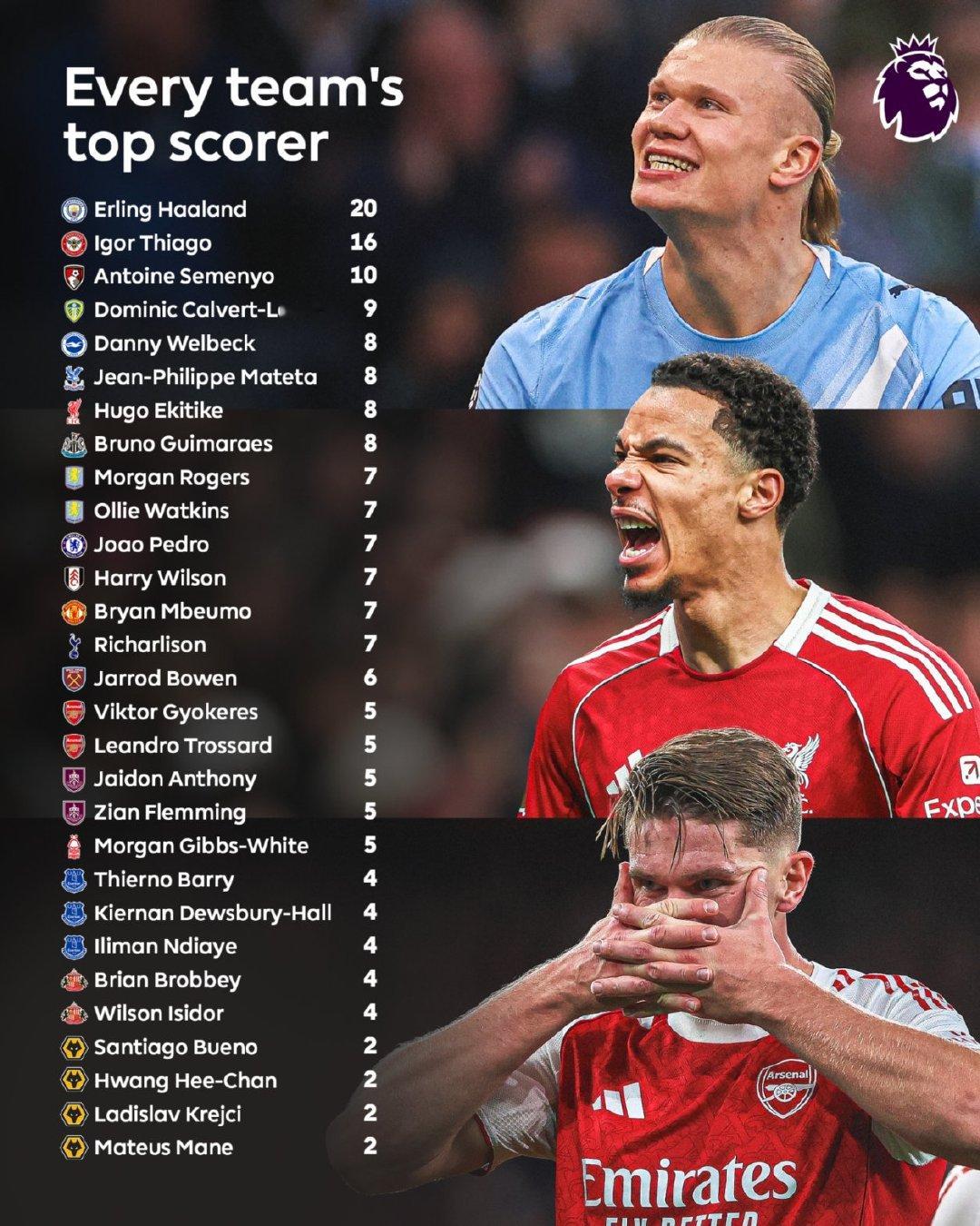 英超各队联赛进球最多的球员哈兰德 独一档，阿森纳 约克雷斯和特罗萨德都是5球英超