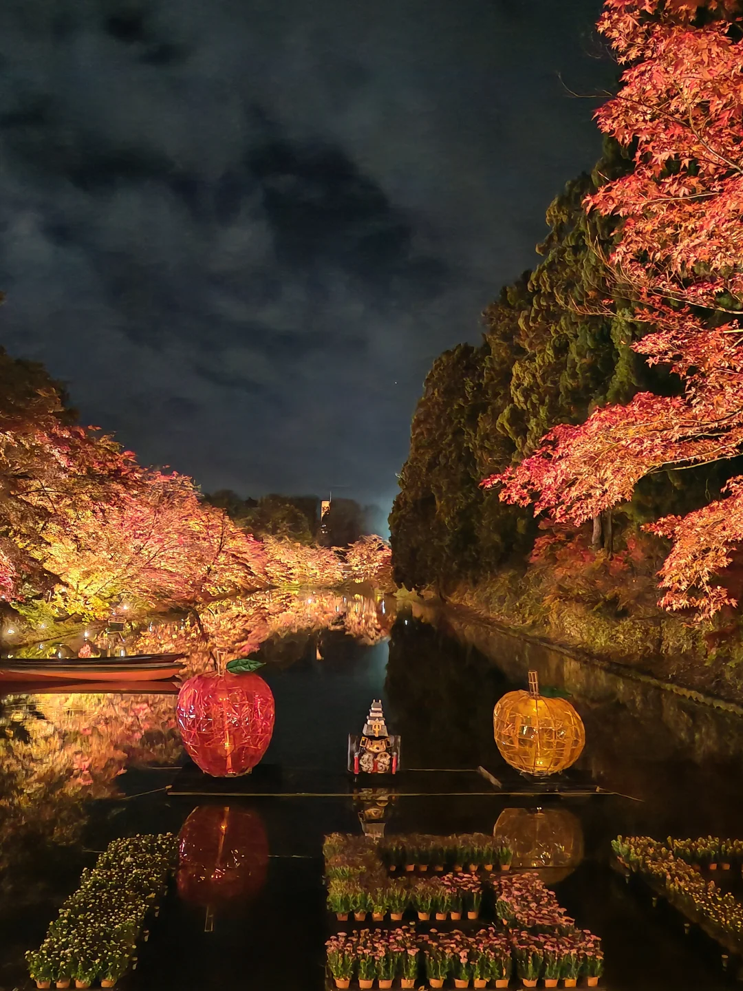 青森红叶🍁11.2弘前公园