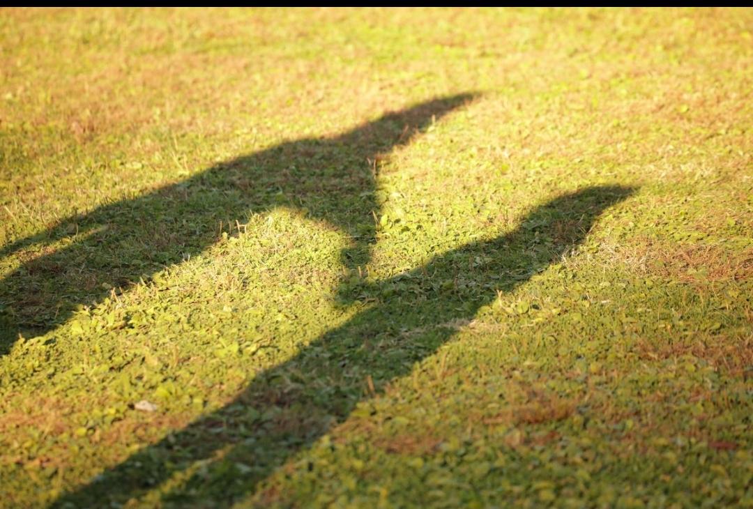 我认为应该管。

孩子成年了，人生大事必须管！这才是真正的负责。
 
我的观点很