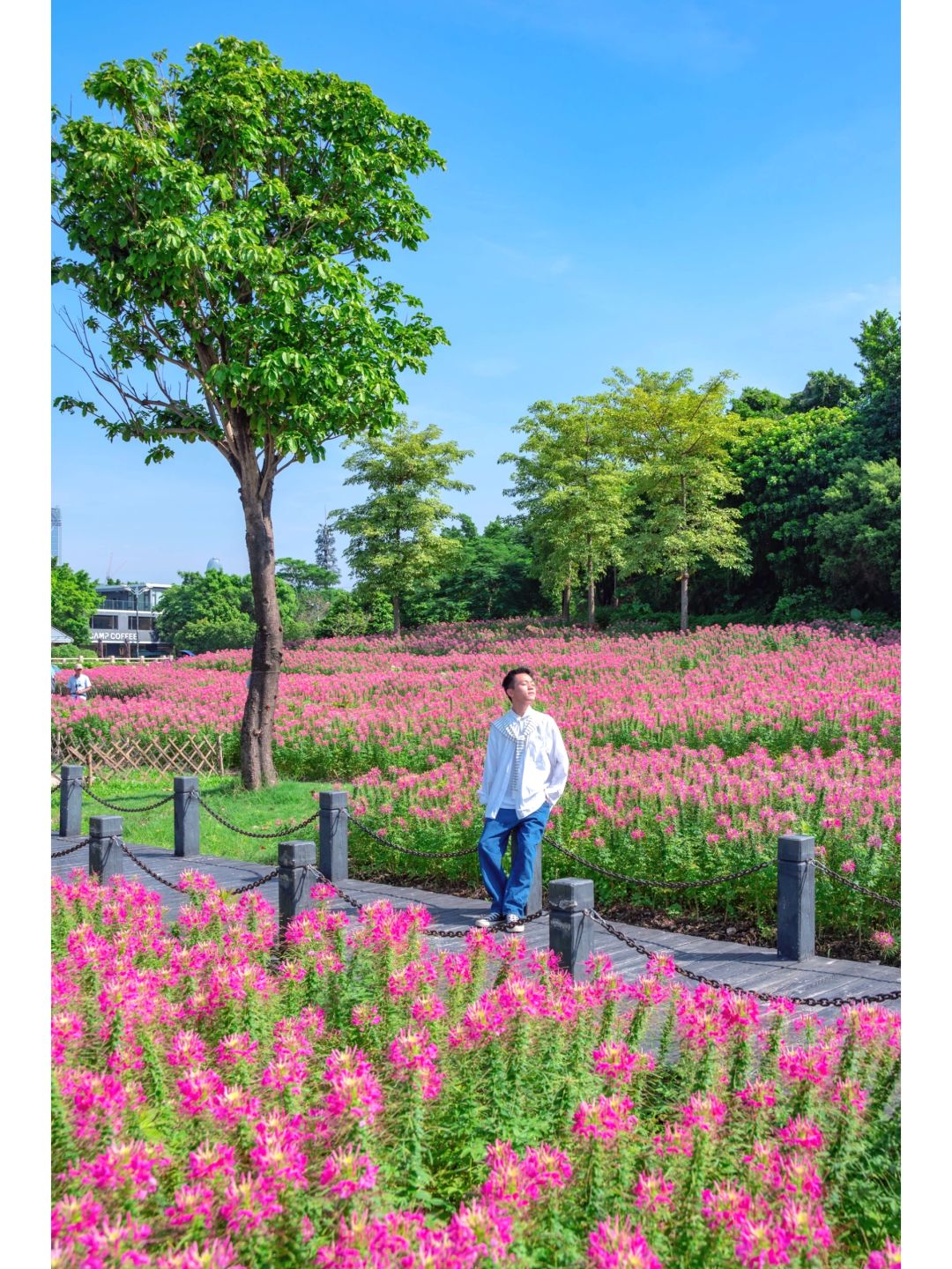 秋日限定浪漫花海🌸误入广州的莫奈花园！