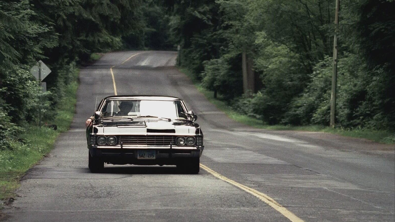 Carry on my wayward son ♬There'll be pea