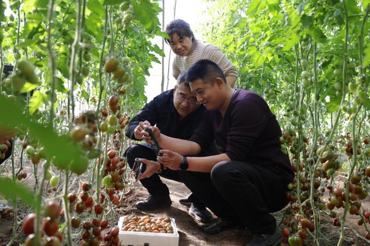 光影赋能乡村振兴，潍坊寿光基层文化建设指导员走进崔家庄