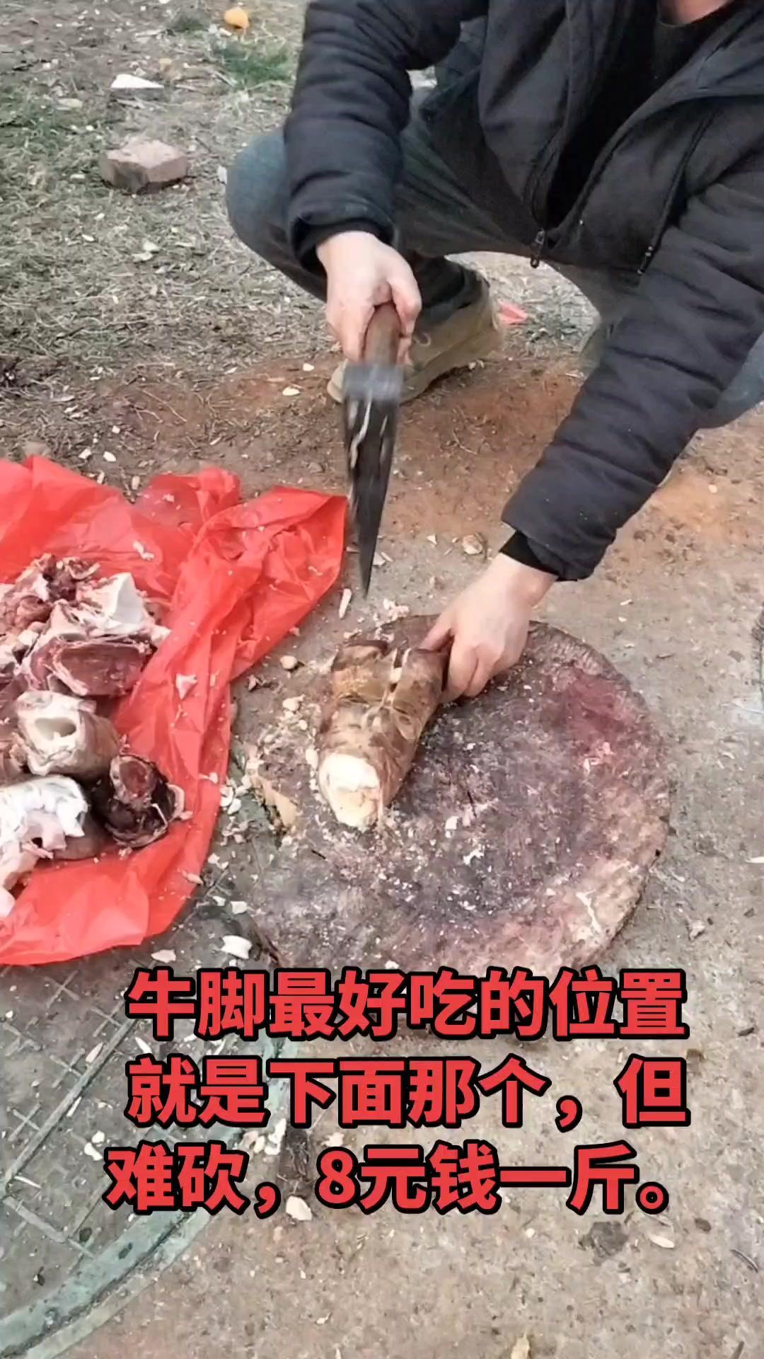 老家菜市场的牛脚才8块钱一斤，还是新鲜的黄牛肉，真的捡到宝了！处理好的牛脚块头大