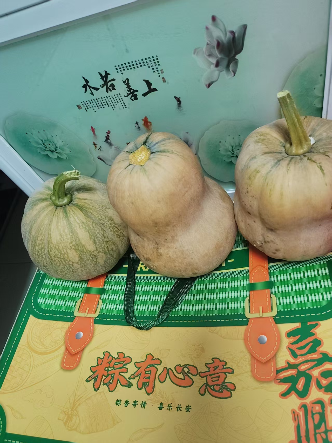壁纸 我妈妈种的南瓜，是不是像葫芦，好可爱