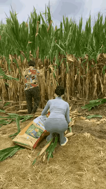 姐可是女王，地里放光芒[得意]姐还是这么任性 姐真有实力 女王