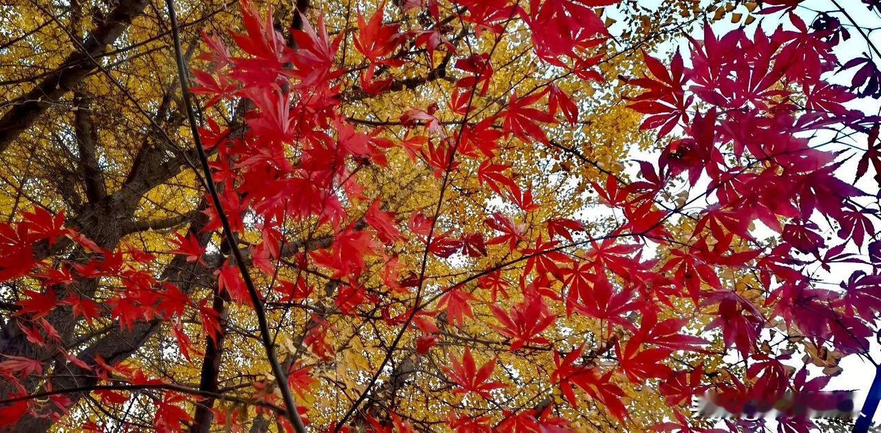 家乡尽管是个边境小城，但是悠久的历史和厚重的文化让这座城市成为人杰地灵的英雄城市
