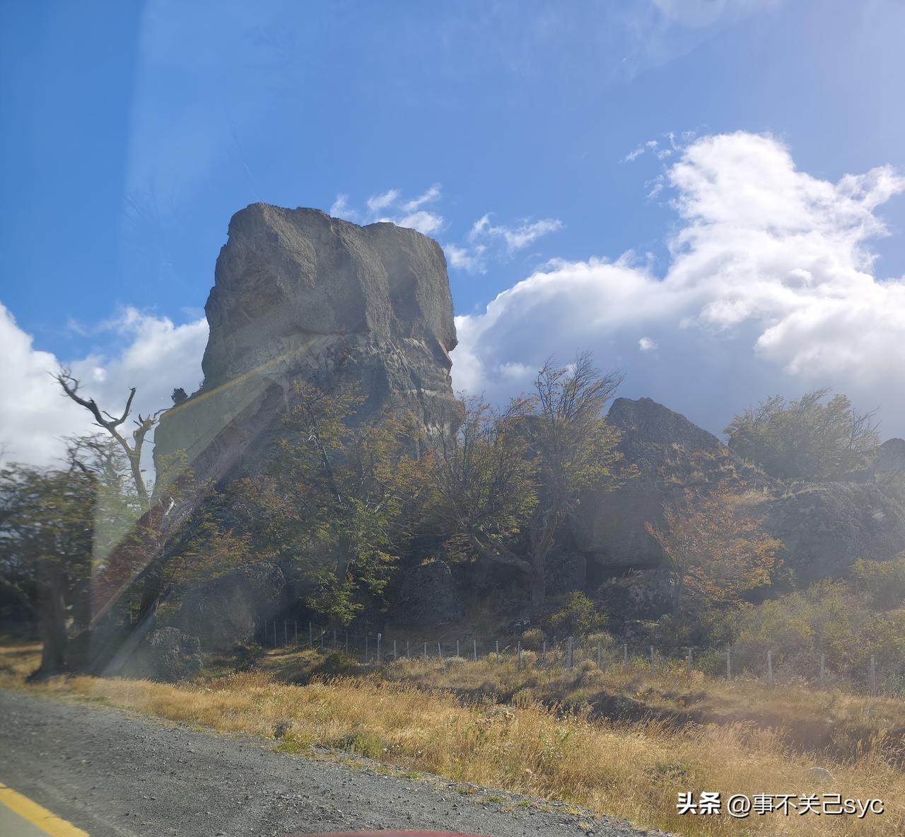 记录生活，随手拍张照相对于北半球，此时的南半球应该是秋季，没想到竟然如此骨感。