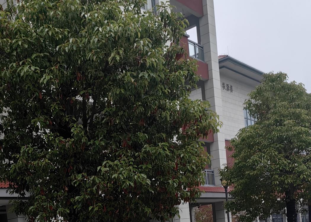 养狗人必须缴纳高额保证金，人和狗都必须进行严格体检。
一旦违规，给予严厉的处罚。