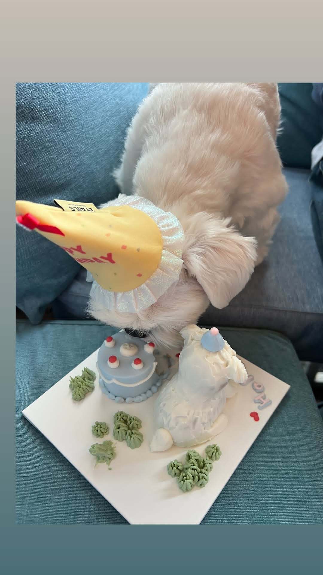 “CB百蓝_。260315利特 ins story更新： 