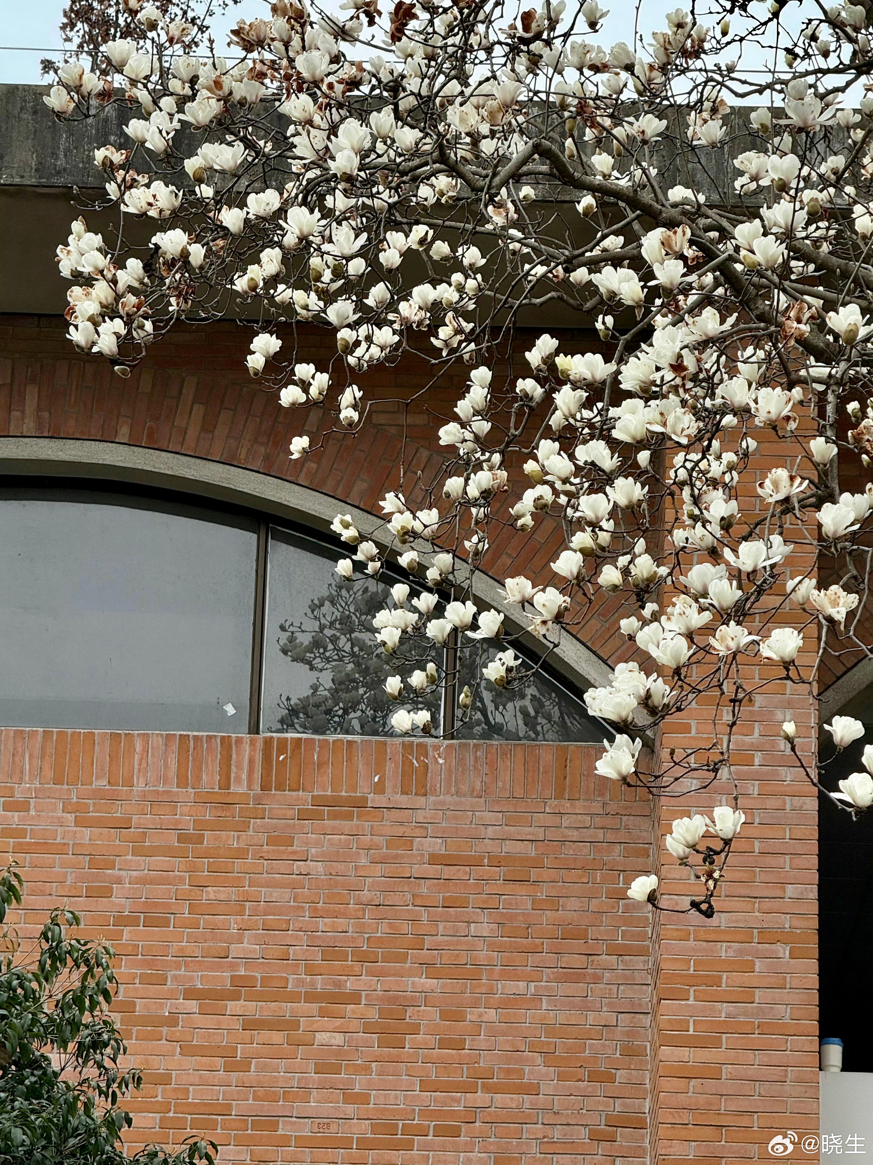 我做咨询这么多年，发现一个特别普遍的现象，很多人的空洞感，本质上就是不知道自己到