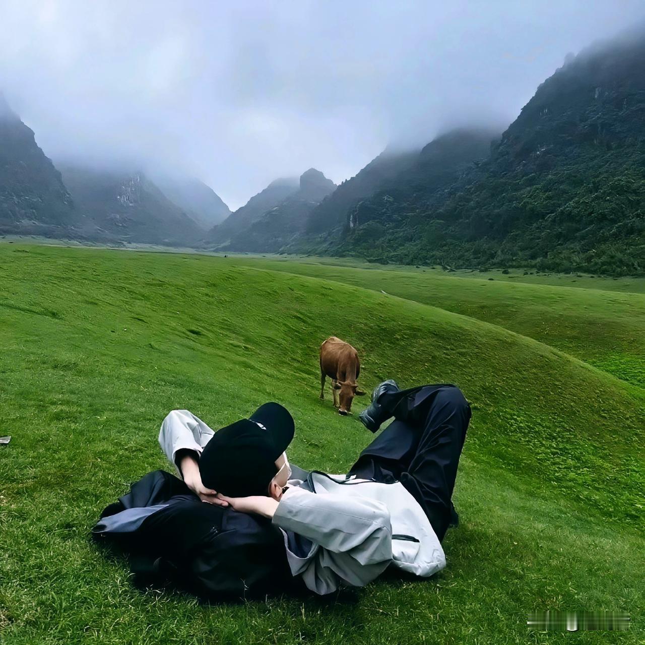 纵观当下，我对世界的走向，生出越来越深的悲观。

物质日渐丰盈，科技迭代不息，生