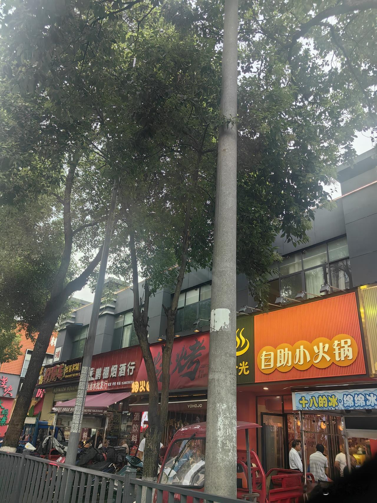 绵阳双碑夜市大有赶超马家巷的趋势。不知道为什么，绵阳双碑夜市近几年突然之间火起来