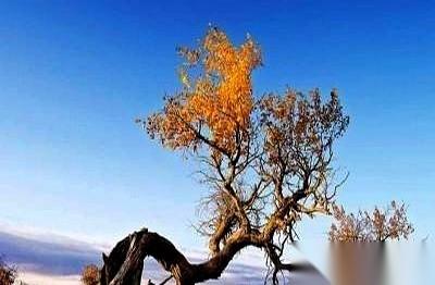 28万8。
她爸妈张口就要这个数，不然，这女儿，不嫁。
说白了，就是卖。一个在家