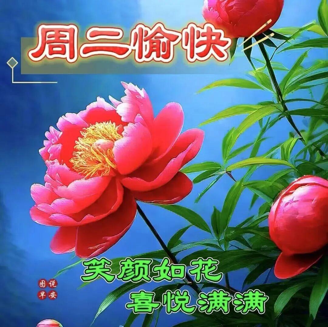 岁月悠悠，智慧累积；故事驻心，温暖如初；记忆轻舞，笑对过往；希望永驻，健康常伴。