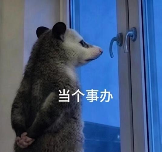 👇🏻请当个事办，谢谢 