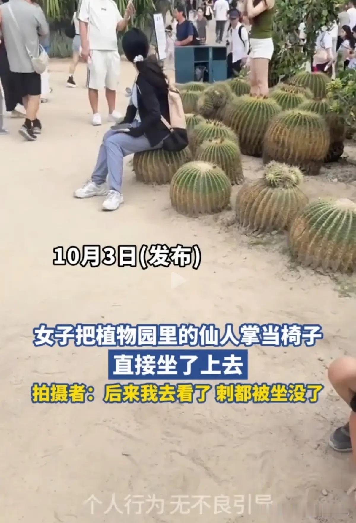 铁腚，还是铁心？
一屁股坐下去。
满屏叫好。
视频里的厦门植物园大叔。
稳稳坐在