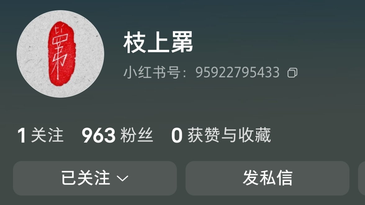 关注 ​​​