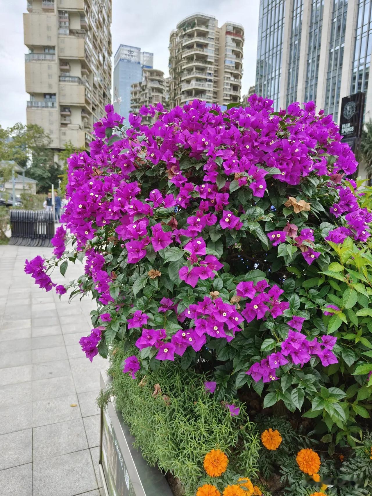哈尔滨导致航班延误女子系无业人员！

哈师大出来发声了：该女子非我学校教职工！