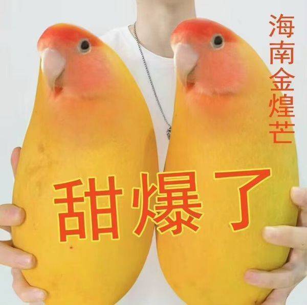 6566甜爆了 