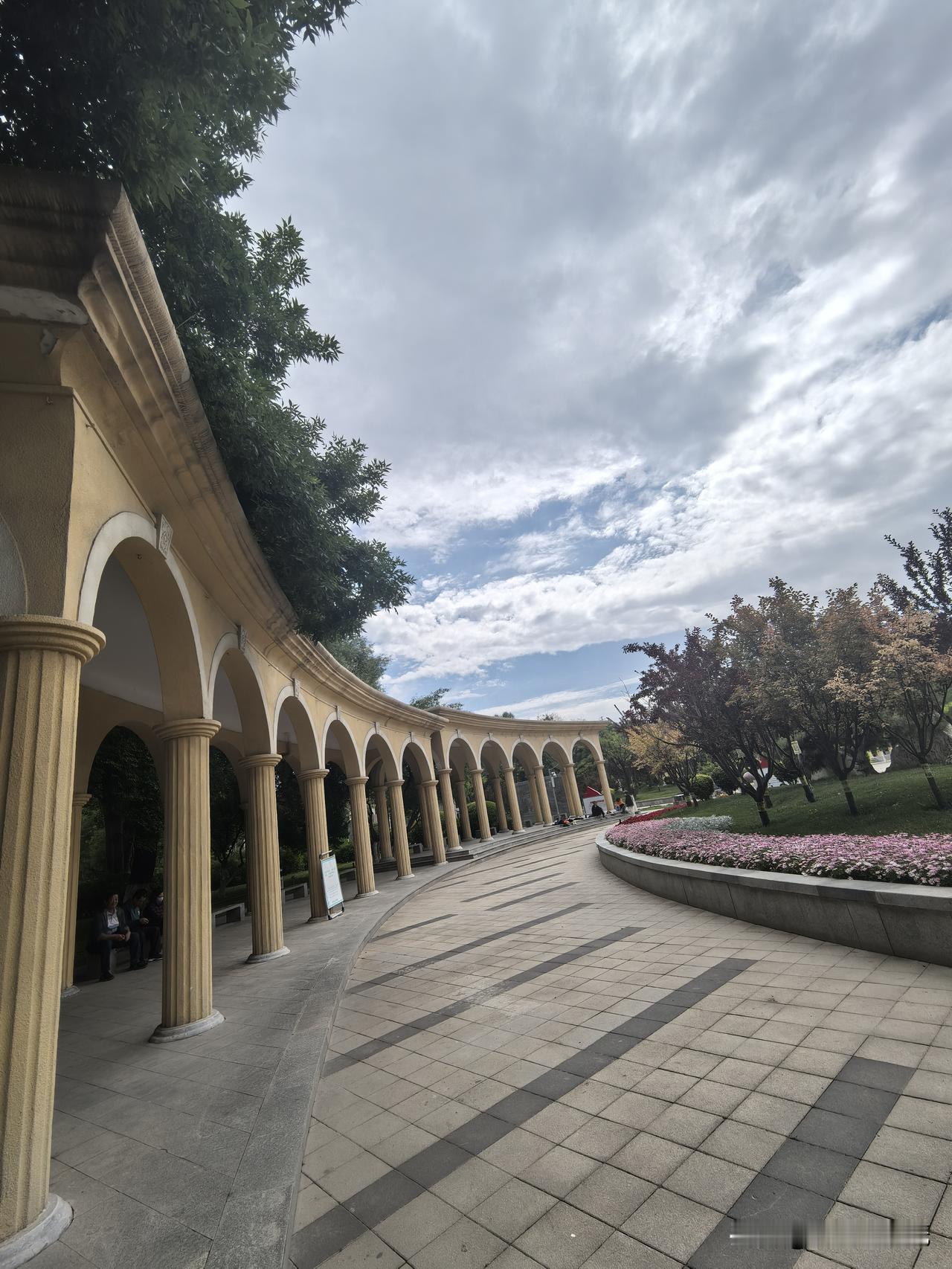 今早出门散步进了西宁文化公园，恍如到了秋天。

刚踏进园门，哎哟喂——眼前那叫一